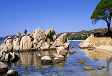  faker回头看奖杯 